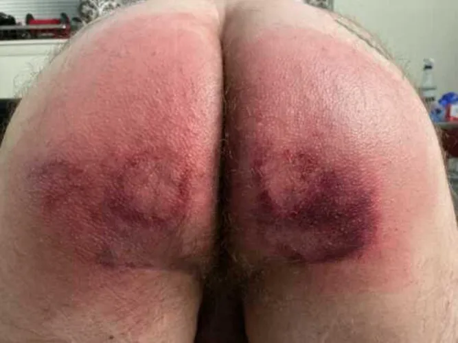 Result of Disobedience l by Correct_Soil987