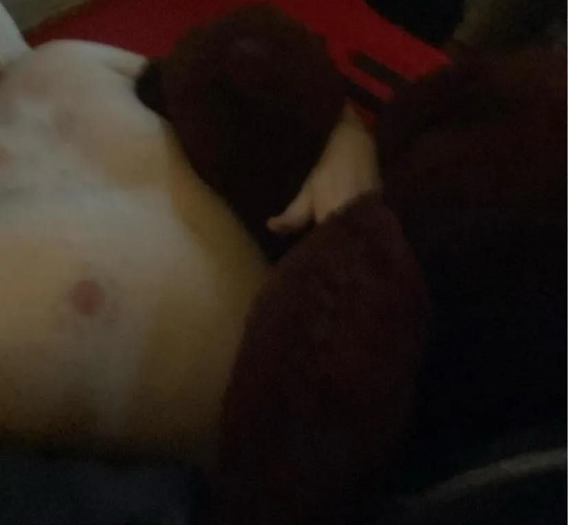 Right where he wants to be  posted by InterestingSorbet816