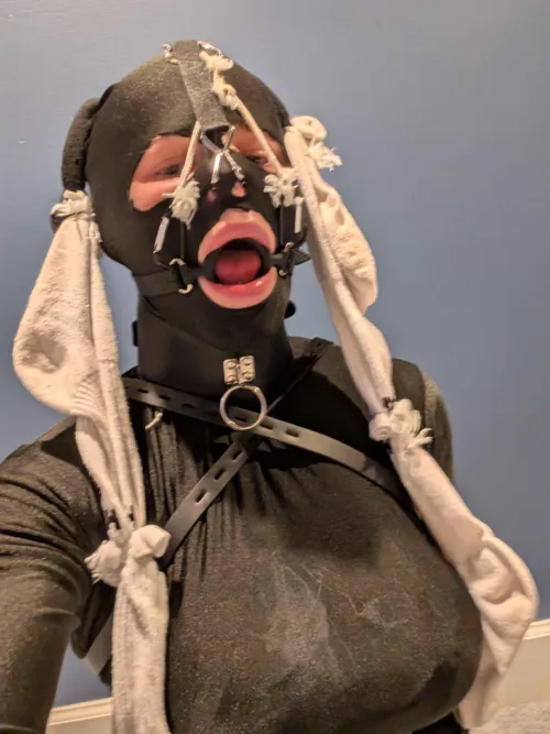 Ring gag and nosehook combo by Historical_Age7269