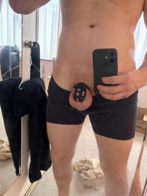 Rolling into the weekend by locked-for-pickle