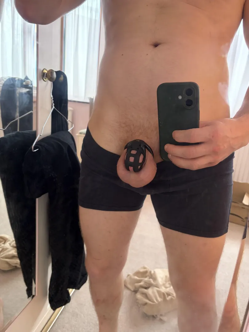 Rolling into the weekend posted by locked-for-pickle