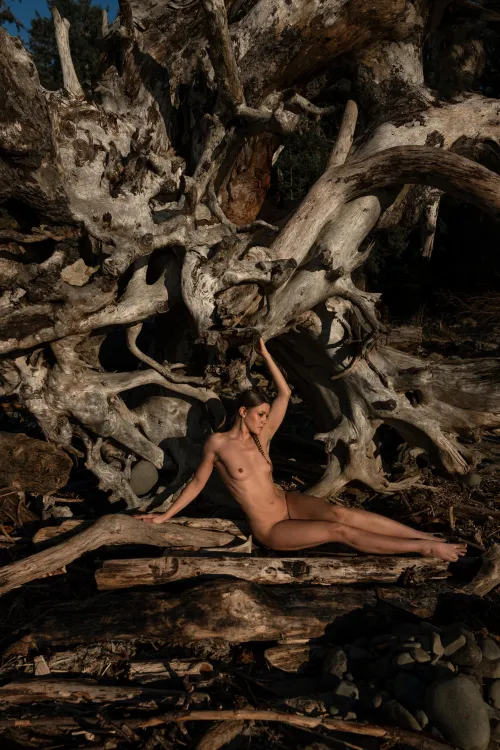 Rooting For You by alice_inanutshell