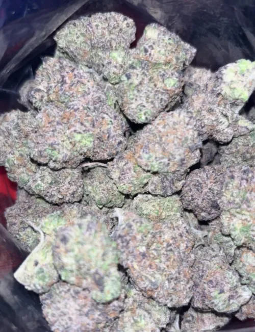  Runtz by EquipmentPast9665