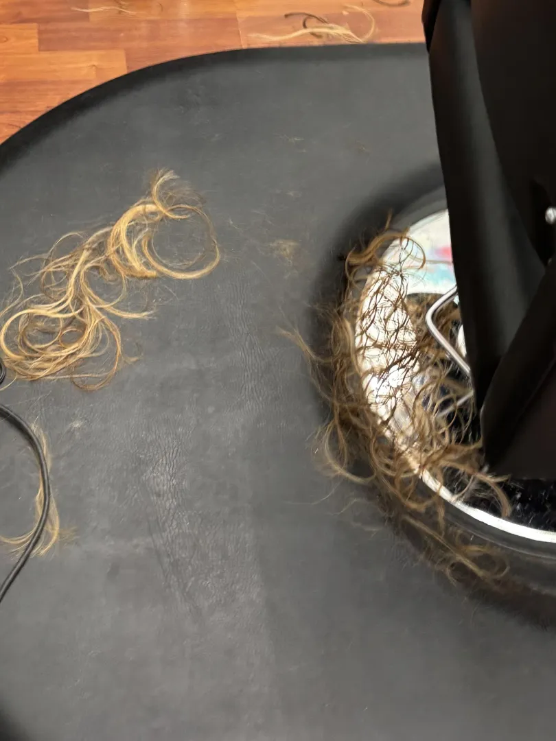 Said bye to several inches today  posted by Otherwise-Egg9584