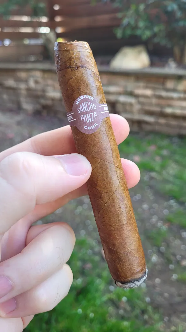 Sanco Panza Beli 18 months old A+ posted by BlueWS