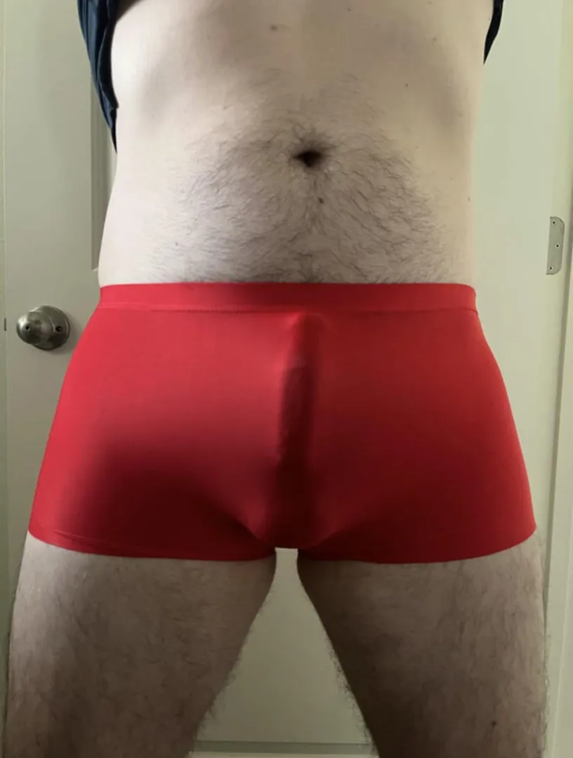 Satin panty bulge posted by MRspeedy0903