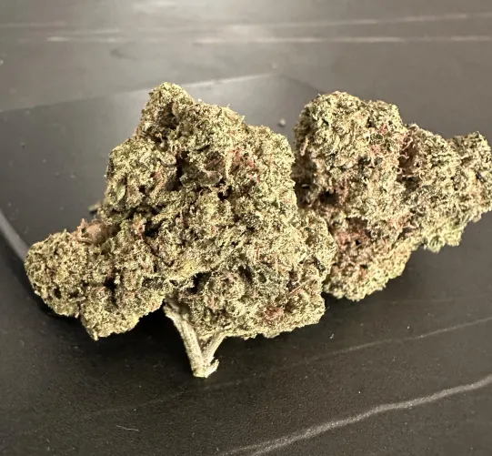 Sativa Saturday  n dallas by clouddev90