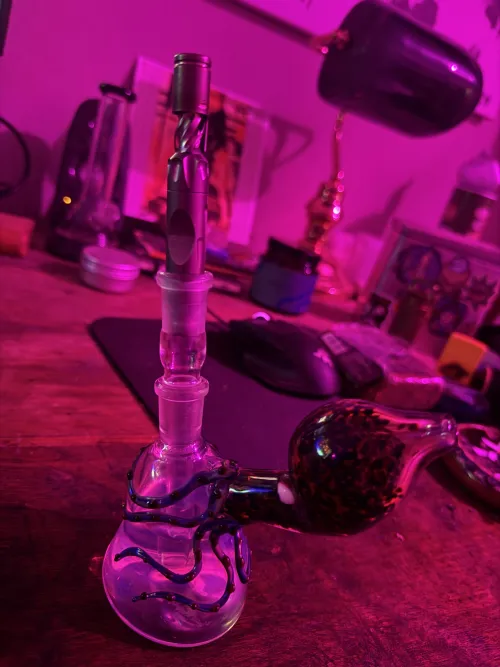 Saturday Sesh by Recent-Tomatillo9196