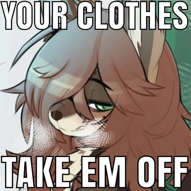 Sauce? posted by Firm_Discipline_7874