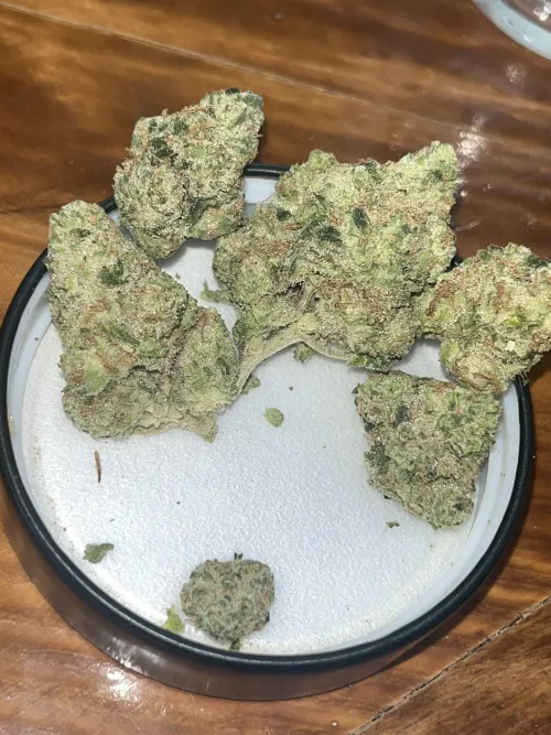 Scooby Snacks by BostonGeorge420Man