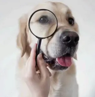 Searching for specific slop posted by DotRude8965