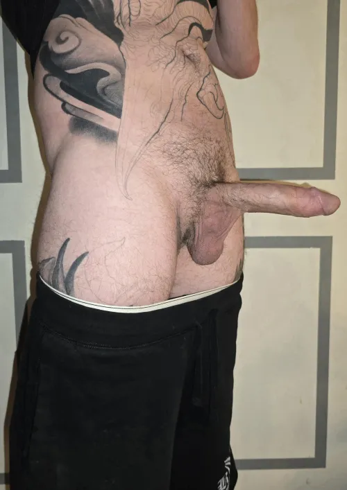 See anything you like? by ModifiedHorseOtaku