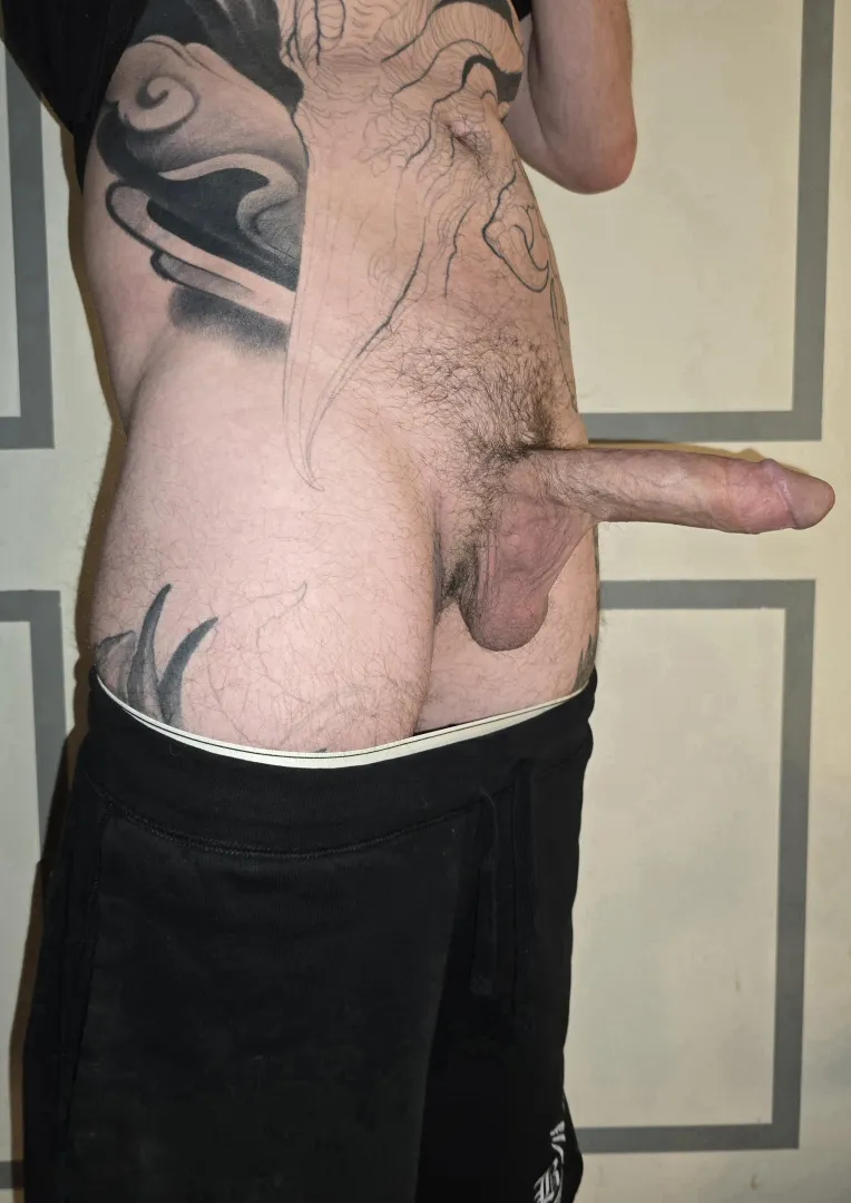 See anything you like? posted by ModifiedHorseOtaku