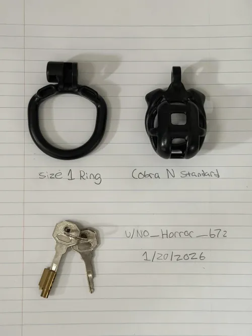 (SELL) (USA) Cobra N (Standard), Size 1 Ring, and Keys by No_Horror_672