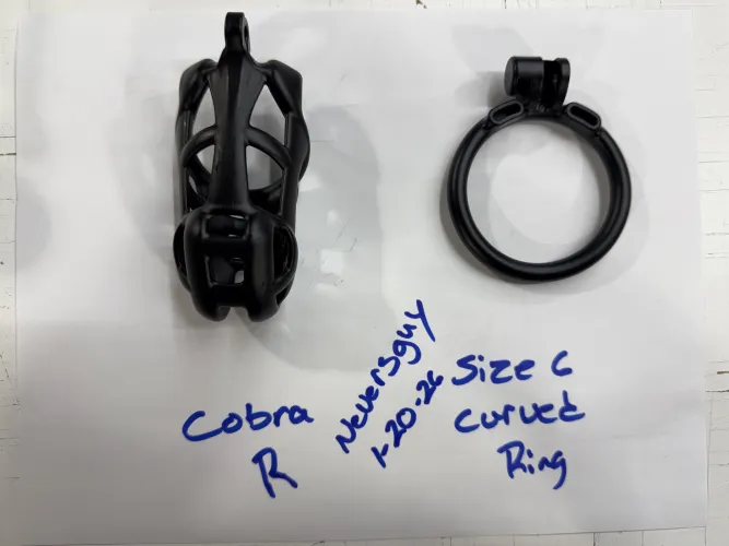 (SELL) (USA) Cobra R (Standard), Size 6 Curved Ring, by Neversguy