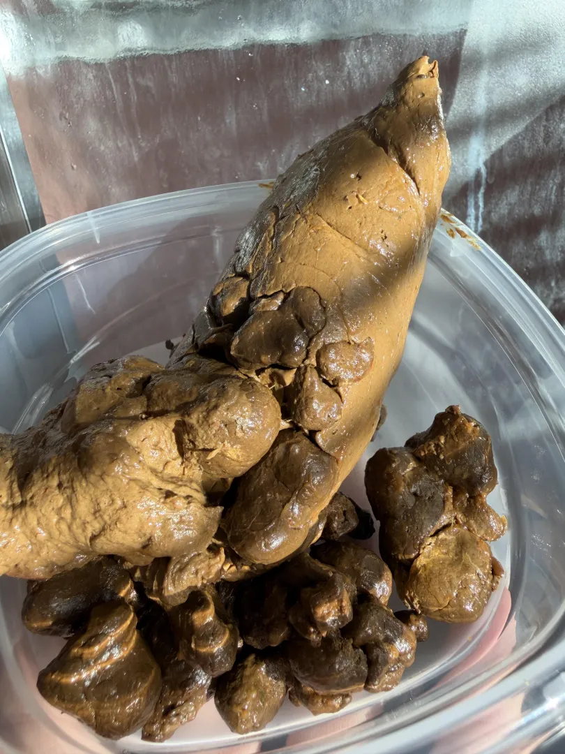 [selling] monster loads to fill that scat piggy belly of yours [US] posted by Arabscatgoddess