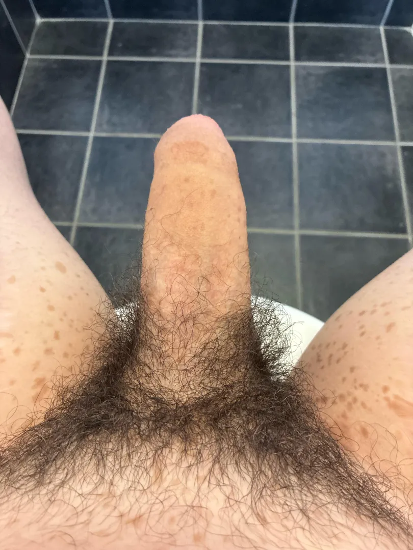 Sex tmrw seeking females in Perth wa ages (18-65) posted by Bigdickjakey19