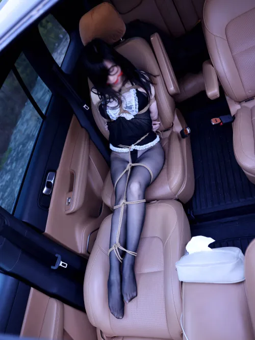 Sexy asian girl tied up in a car by SexySluttyGirls