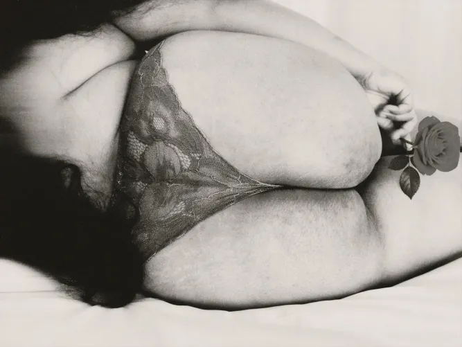 Sexy curves in full bloom by UntamedMILF