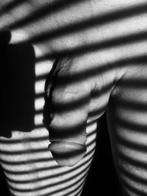 Shadows by Unique-Seesaw-1415