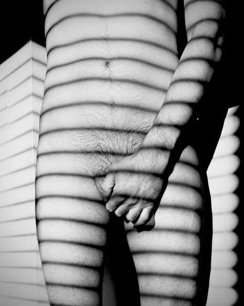 Shadows and stripes by Affectionate_Ask1848