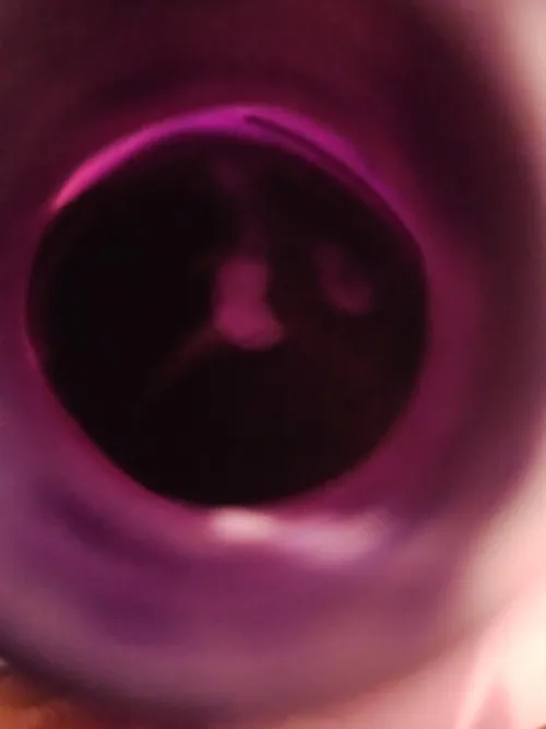 Shampoo by Defiant_State1437