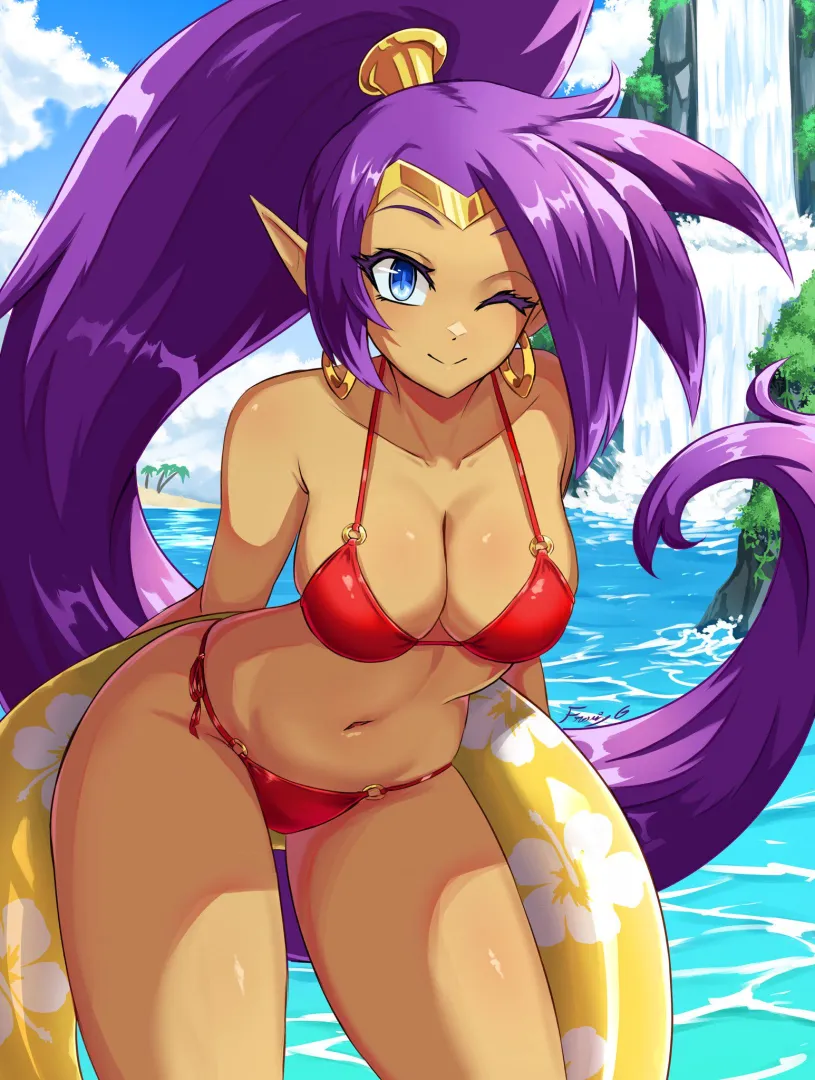 Shantae's Bikini [Shantae] posted by Keyblade_Yoshi
