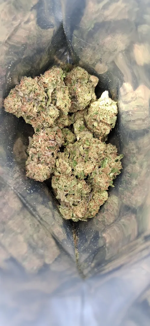 Sherbanger-Lucky Elk posted by ShottyBlastin101