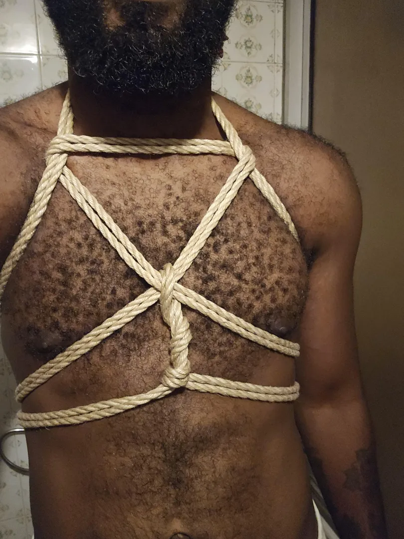 Shibari rigger posted by matafrauz96