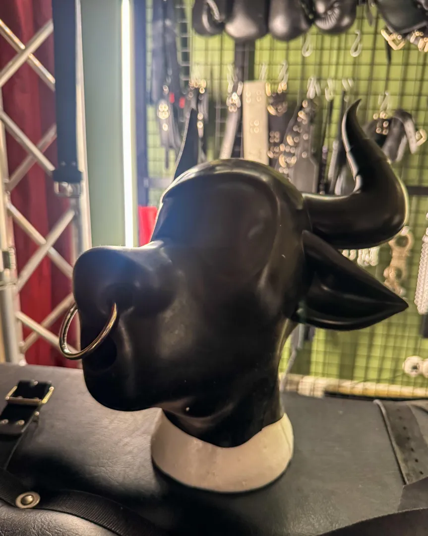 Shining a Furrjoi hood? posted by cerberusbites