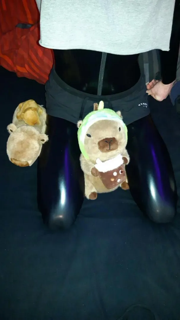 Shiny femboy? posted by Candis_Mayoris