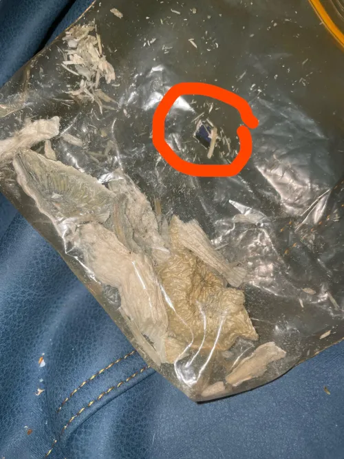 Shrooms and acid badly packaged? by Interesting_Bend_132