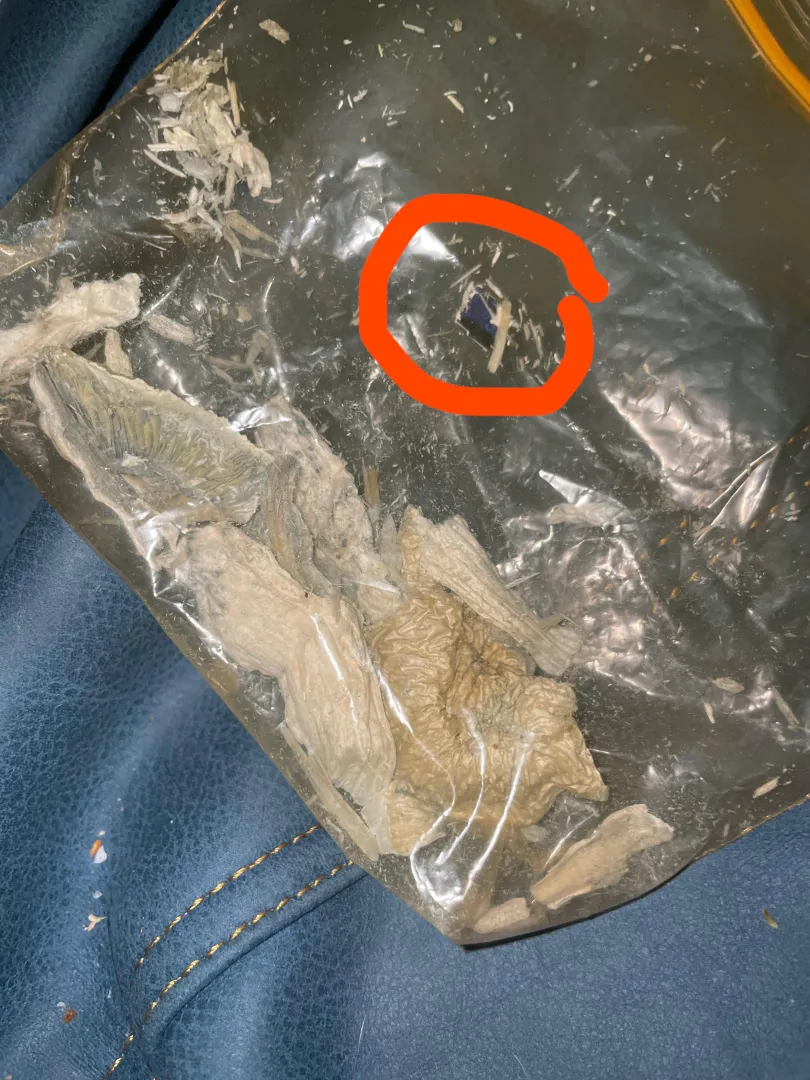 Shrooms and acid badly packaged? posted by Interesting_Bend_132