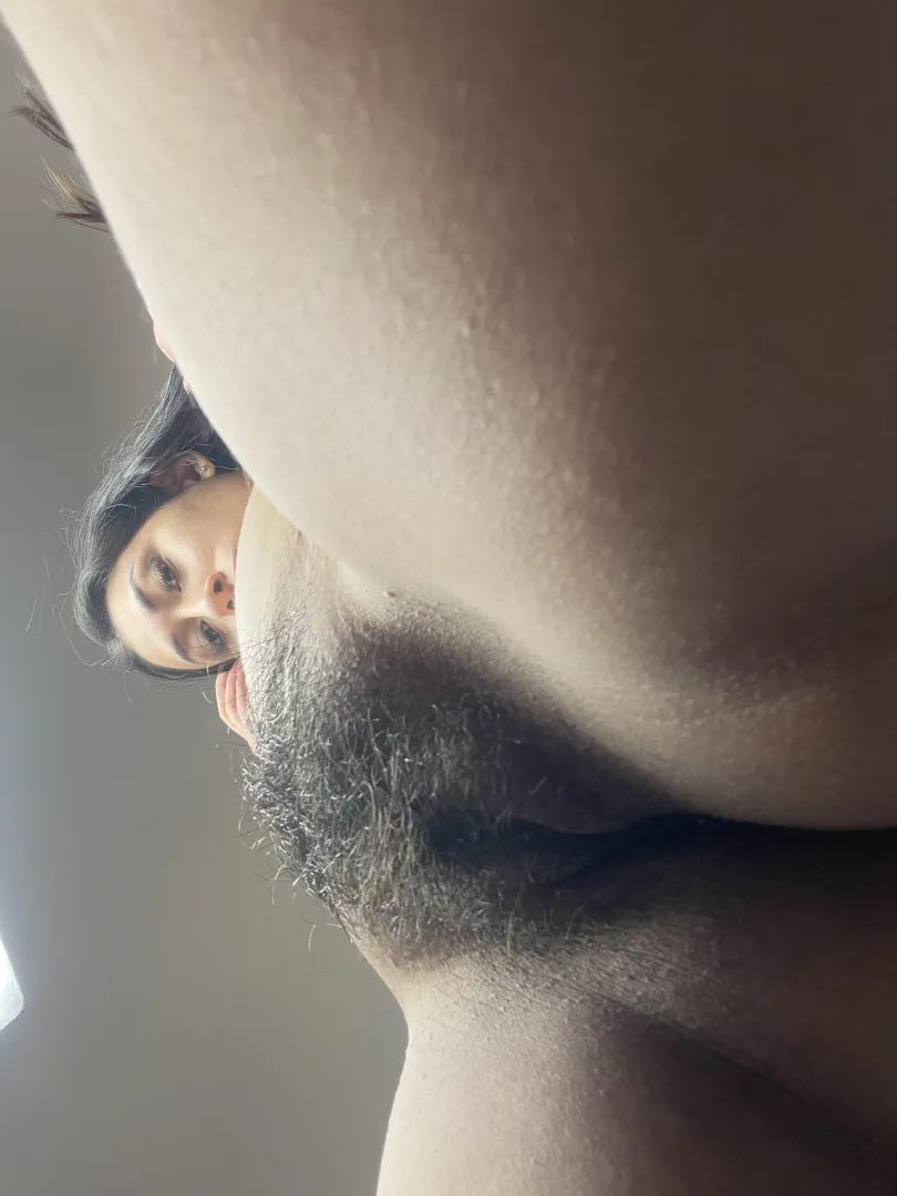 Si quien adora mucho los arbustos pues aquí estoy yo ;) posted by Serenaaabbyy