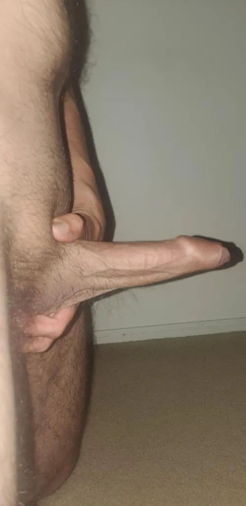 Side view by IntelligentBonus6003