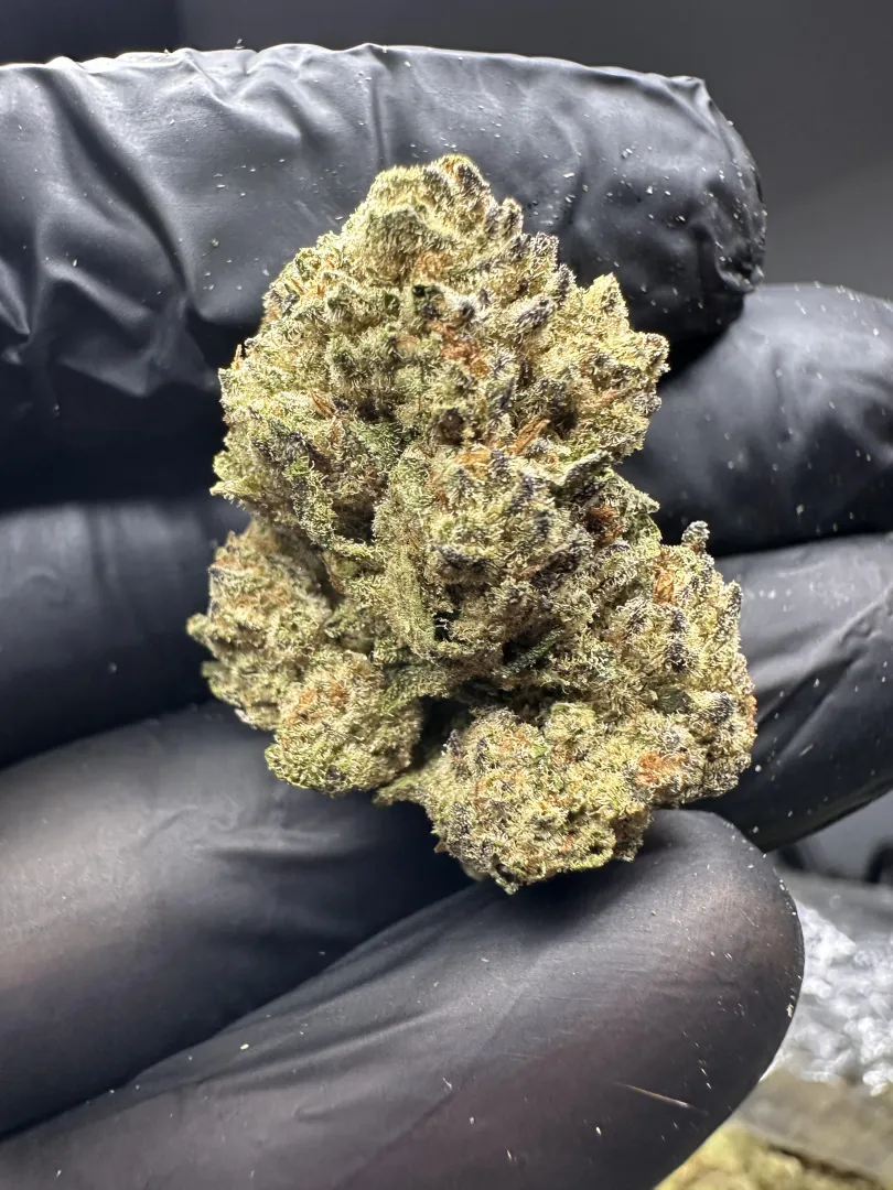 Silver Haze  posted by WaveEcstatic1721