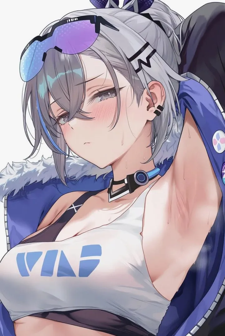 Silver Wolf pits posted by konosubak