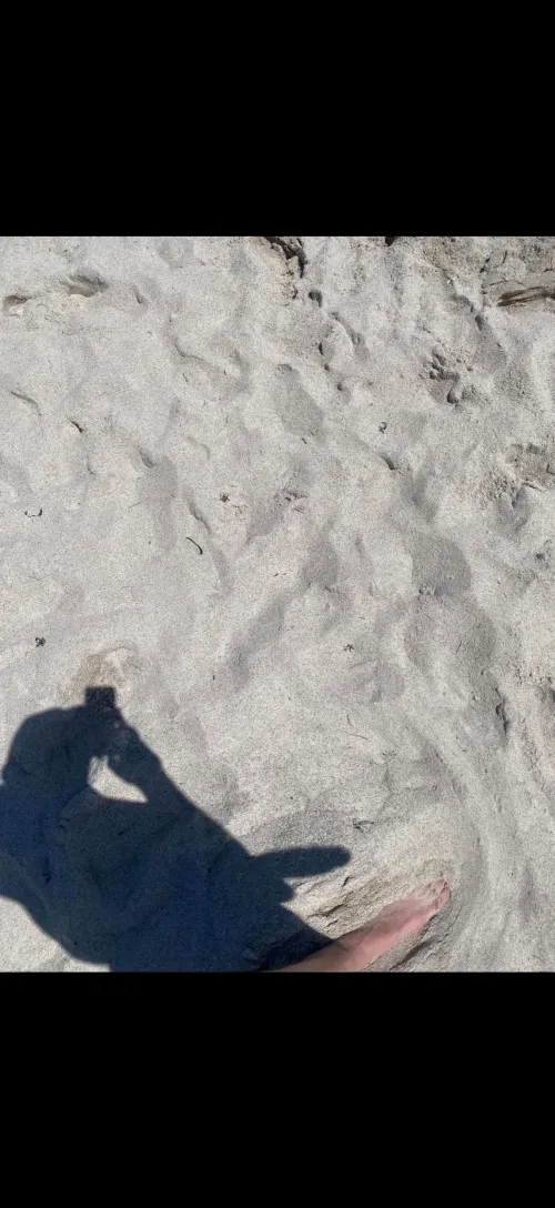 Six more weeks of winter yall by Dragonfruit_Superb