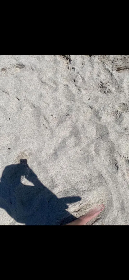 Six more weeks of winter yall posted by Dragonfruit_Superb