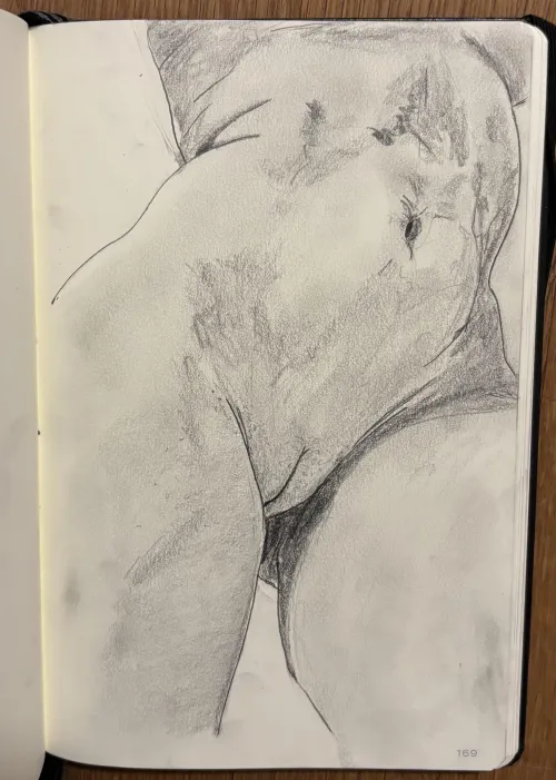 sketch - by me by Effective_Roof7975