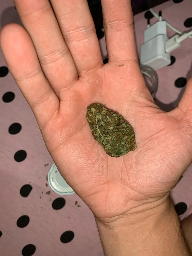 skunk posted by japoneison