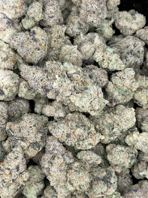 Slap N Tickle fresh in at Elevate NC⛽️ by jcw42o