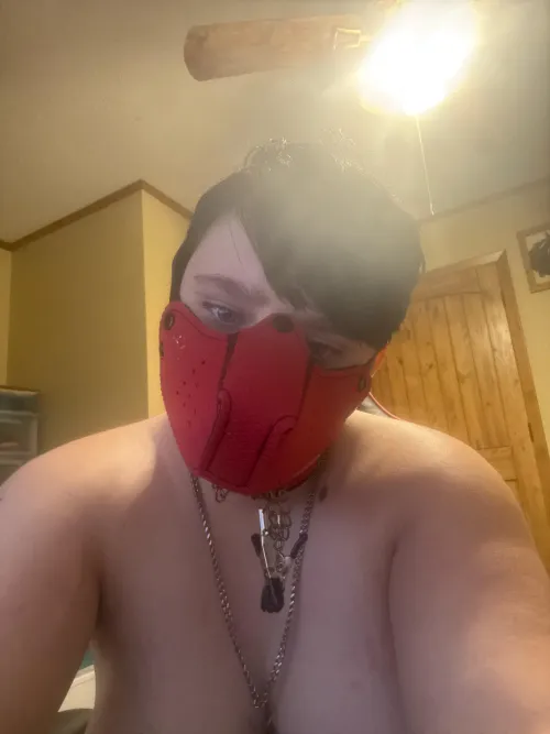 Sleepy pup in the mood by Wildwolf1900