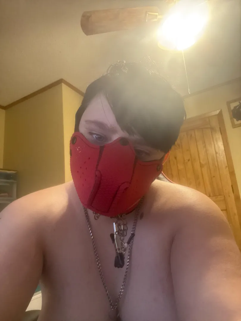 Sleepy pup in the mood posted by Wildwolf1900