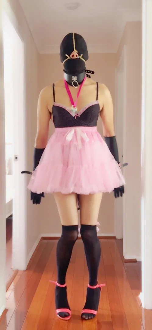 Sluts need to know their place  posted by pri55y_pru69nce