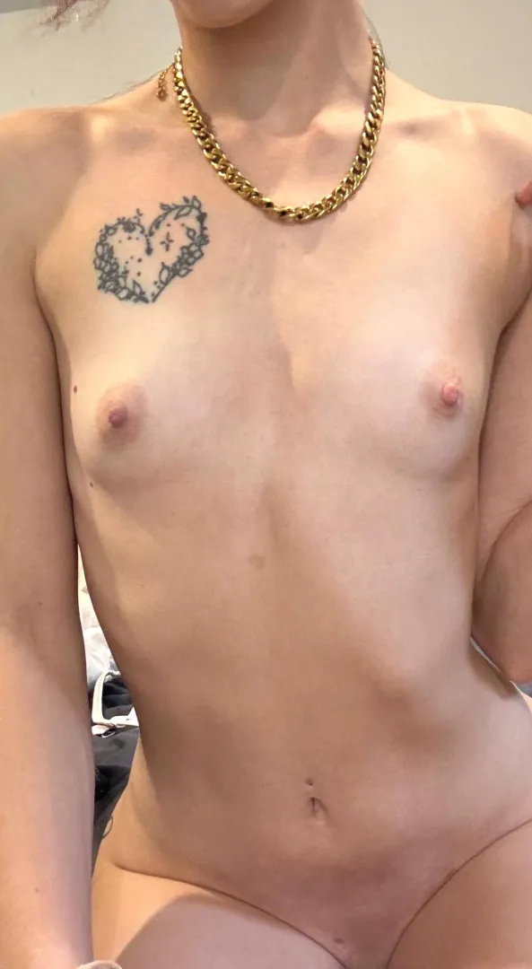 Small but edible tits posted by yourguiltyClick