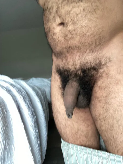 Small hairy uncut by Ecstatic-Week-4663