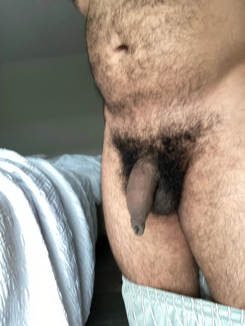 Small hairy uncut posted by Ecstatic-Week-4663