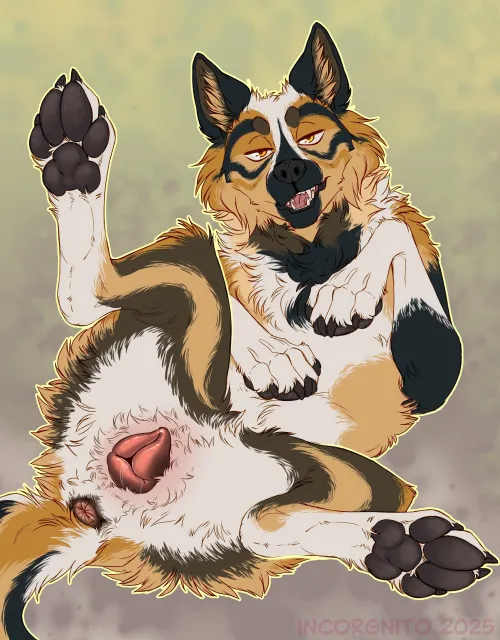 Smash or Pass? ;3 (incorgnito) [f] by AltYiff