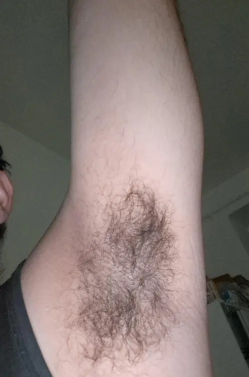 Smell or lick? by Effective_Craft4415